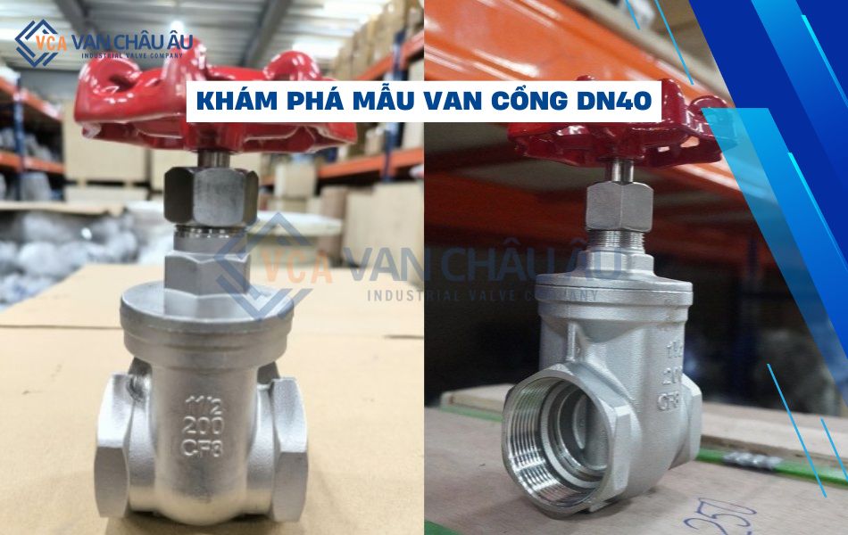van cổng dn80