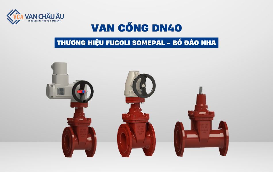 Van cổng DN40 Fucoli Somepal