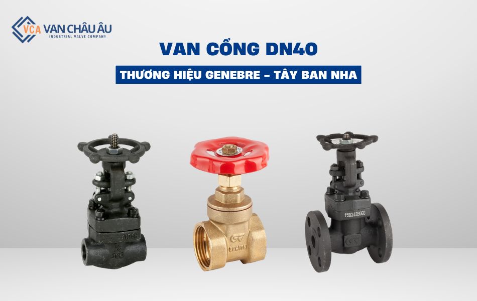van cổng dn40 genebre