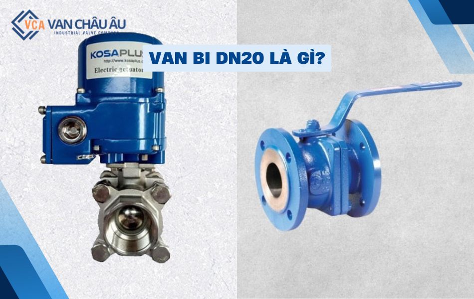 van bi dn20 là gì