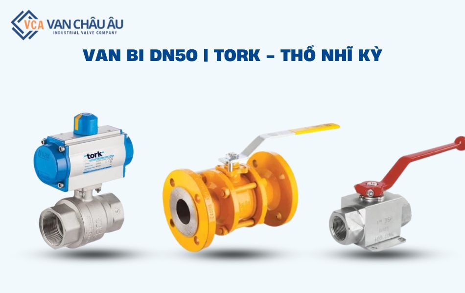 van bi dn50 tork thổ nhĩ kỳ