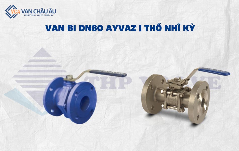 van bi dn80 thương hiệu ayvaz