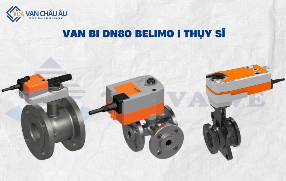 van bi dn80 thương hiệu belimo