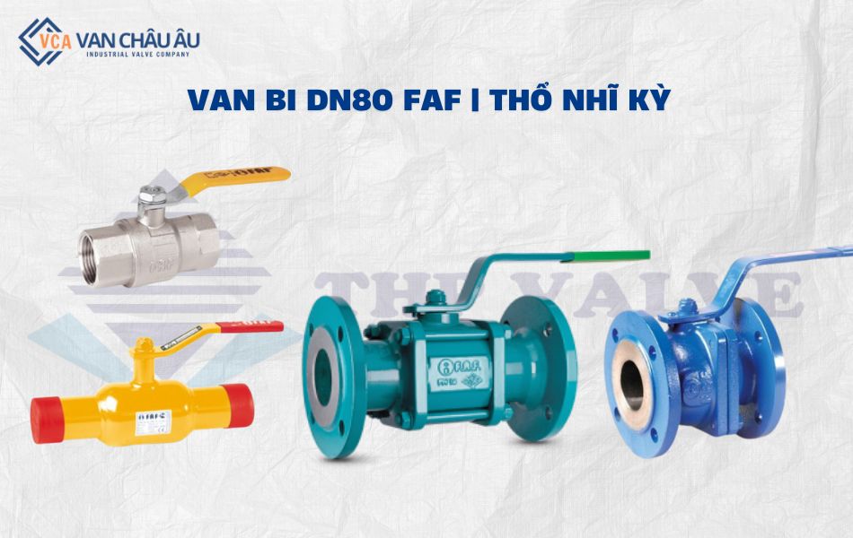 van bi dn80 thương hiệu faf