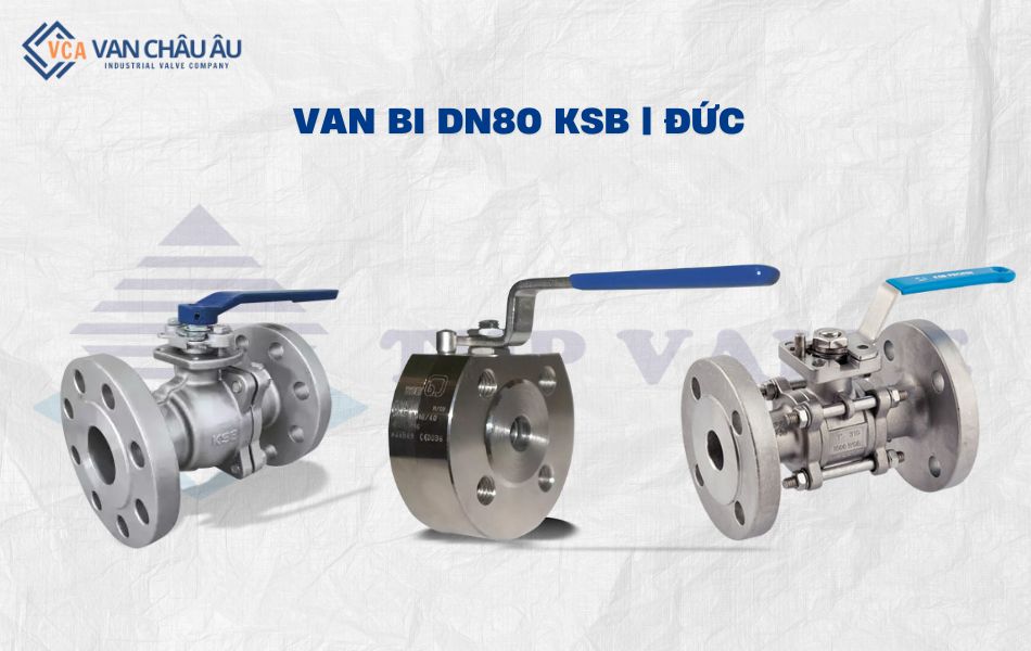 van bi dn80 thương hiệu ksb