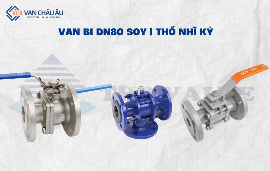 van bi dn80 thương hiệu soy