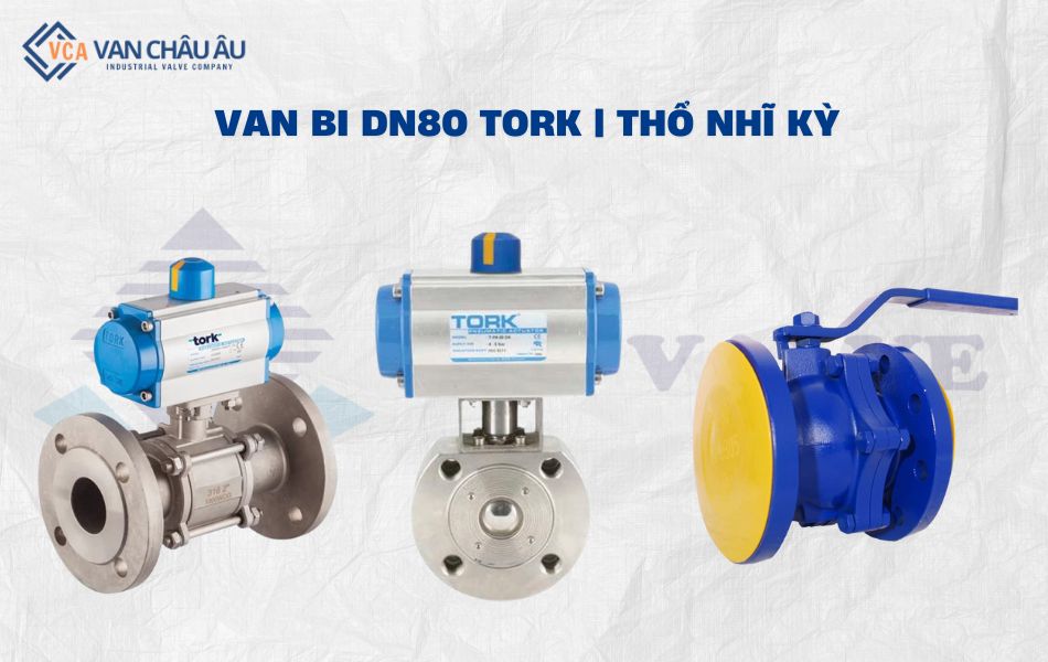 van bi dn80 thương hiệu tork