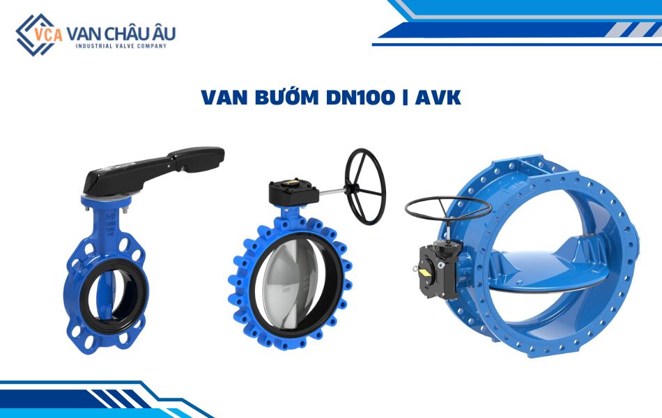 van bướm dn100 hãng avk
