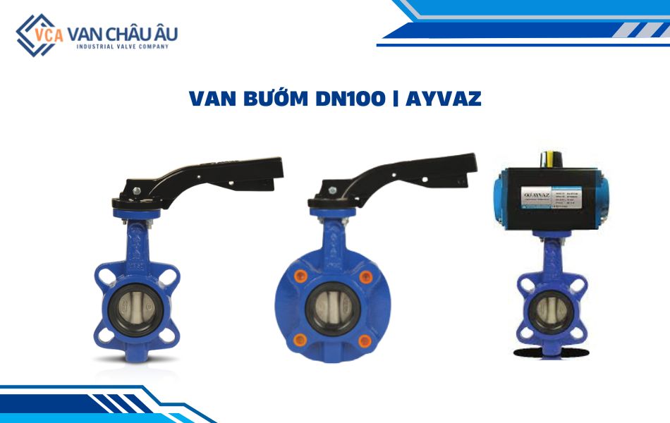van bướm dn100 hãng ayvaz