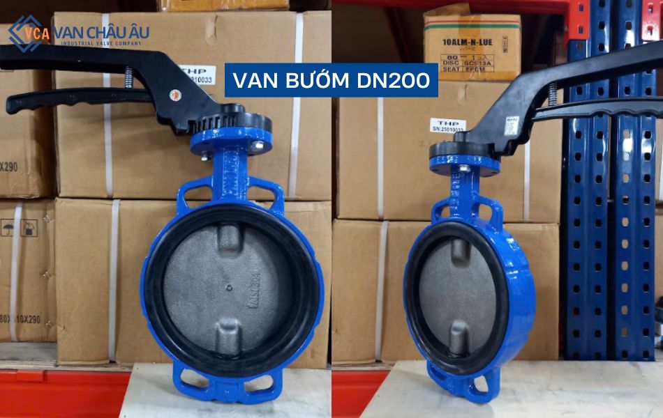 van bướm dn100 là gì
