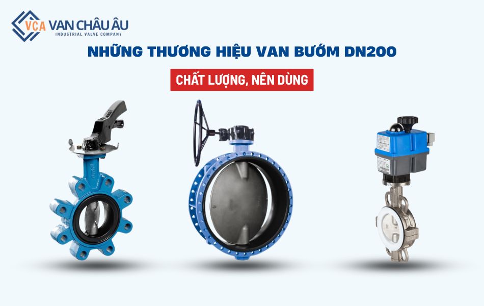 van bướm dn200