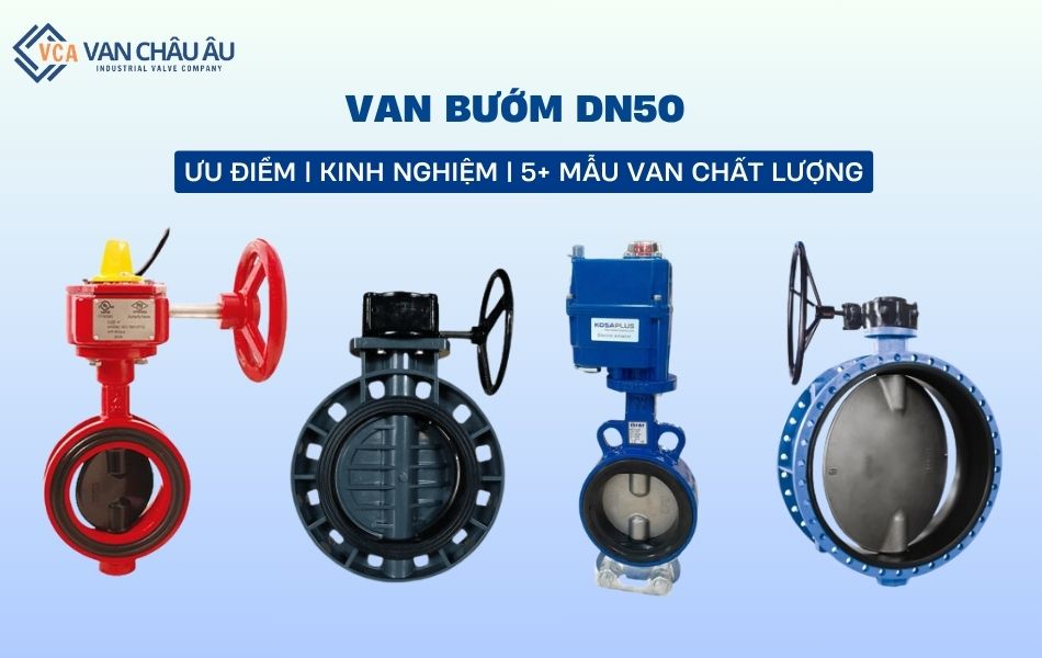 van bướm dn50