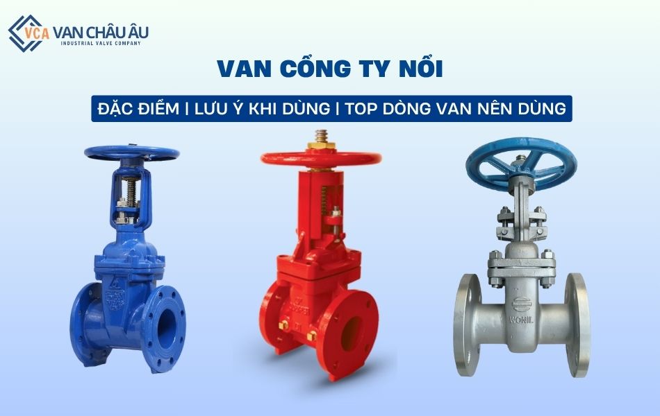 van cổng ty nổi