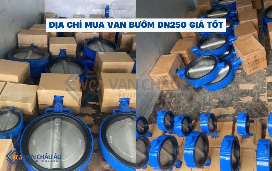van bướm dn250 mua ở đâu chính hãng