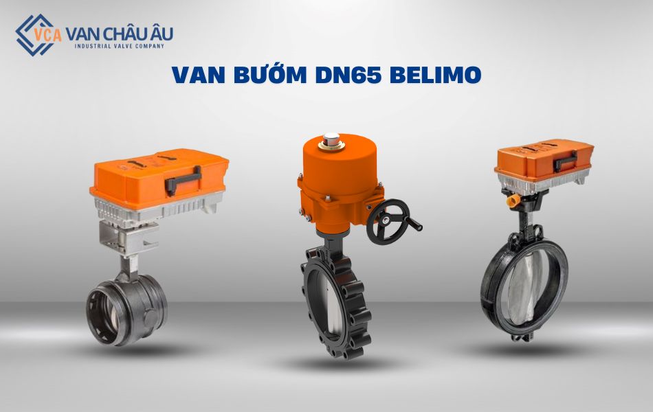 van bướm dn65 belimo