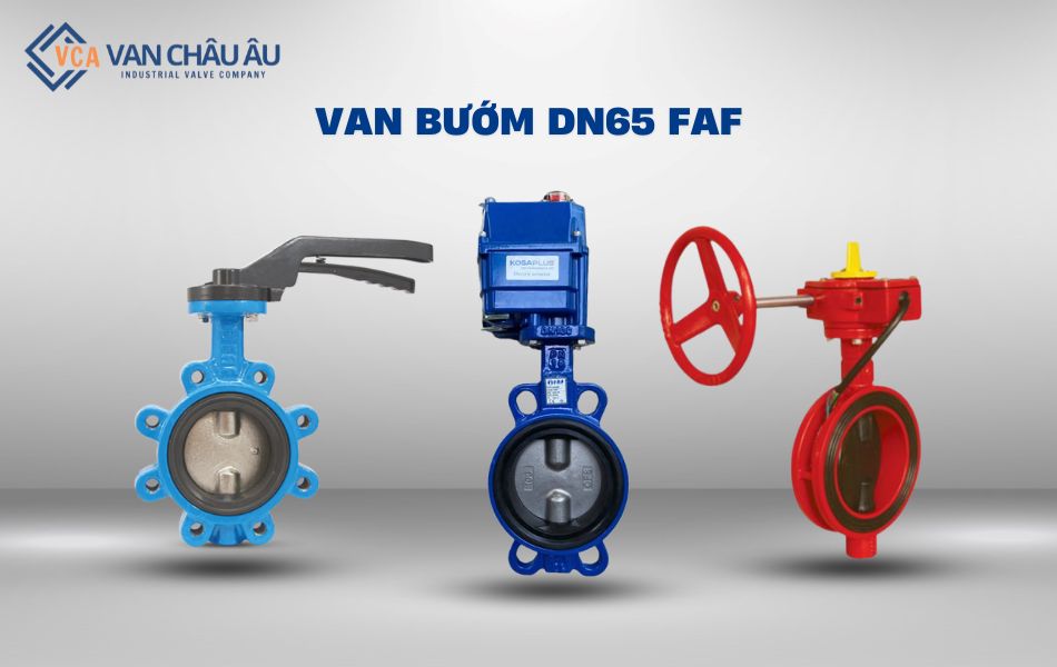 van bướm dn65 faf
