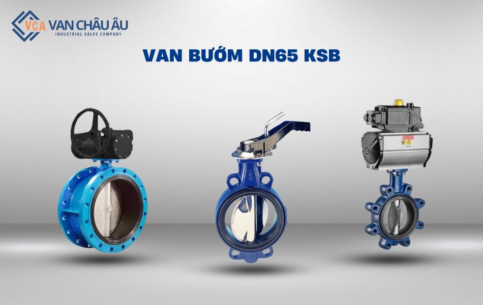 van bướm dn65 ksb