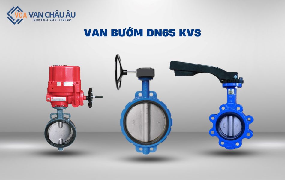 van bướm dn65 kvs