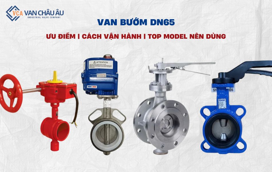 van bướm dn65