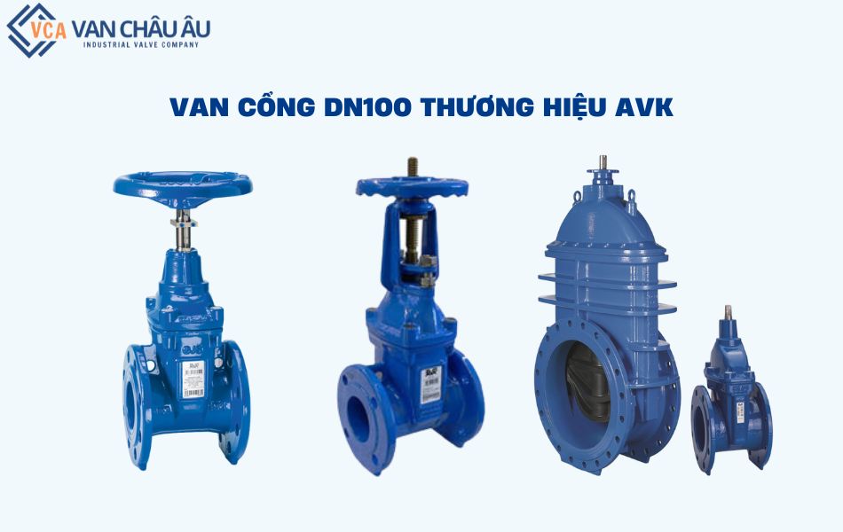 van cổng dn100 avk