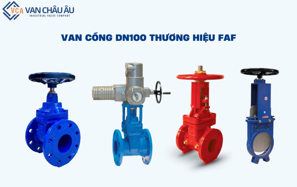 van cổng dn100 faf