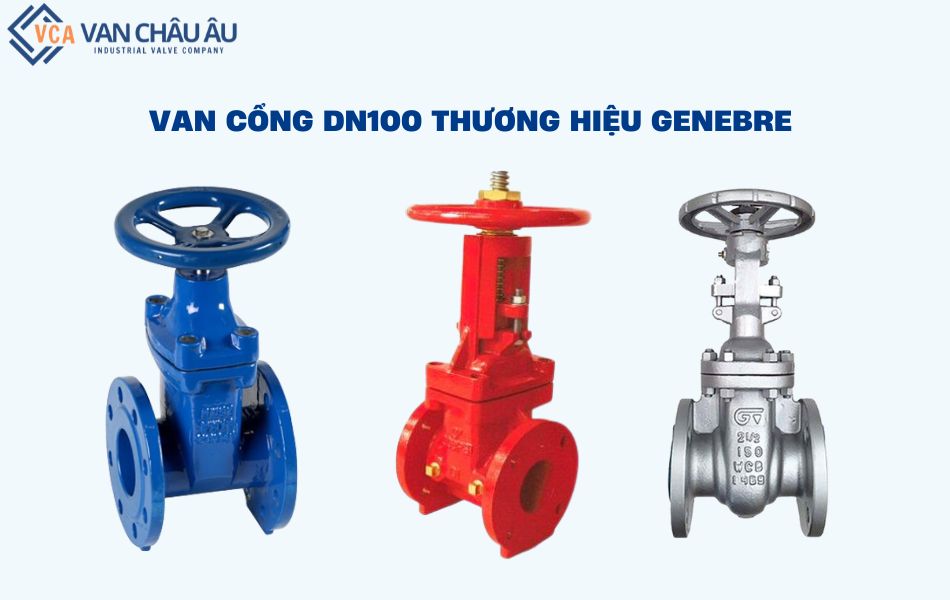 van cổng dn100 genebre