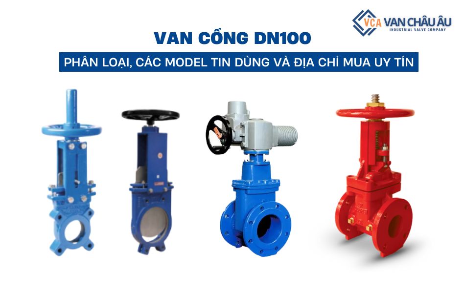 van cổng dn100