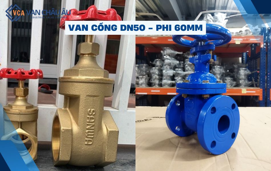 van cổng dn50 là gì