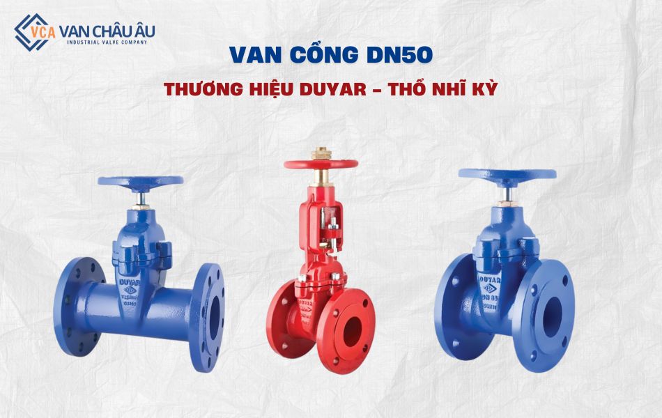 van cổng dn50 thương hiệu duyar
