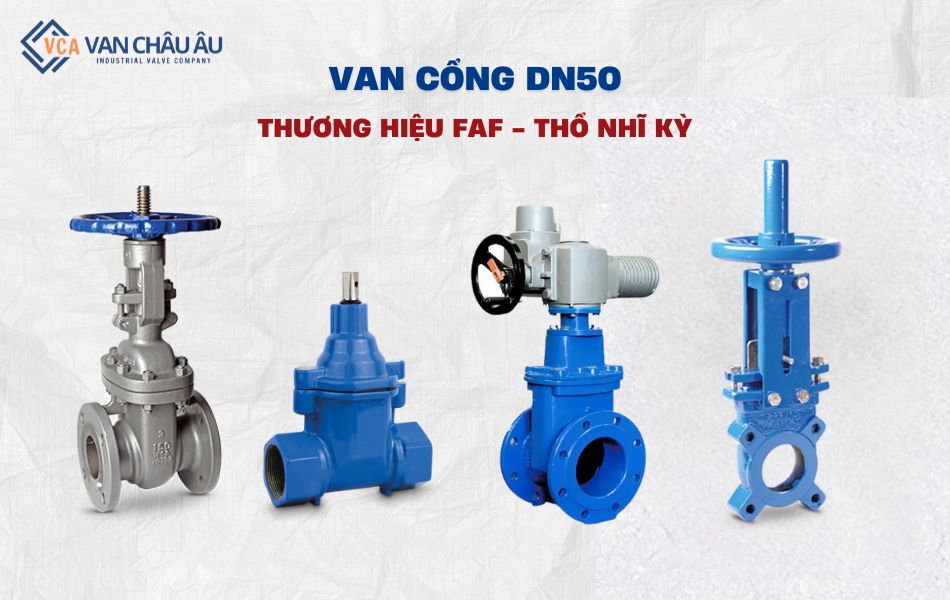 van cổng dn50 thương hiệu faf