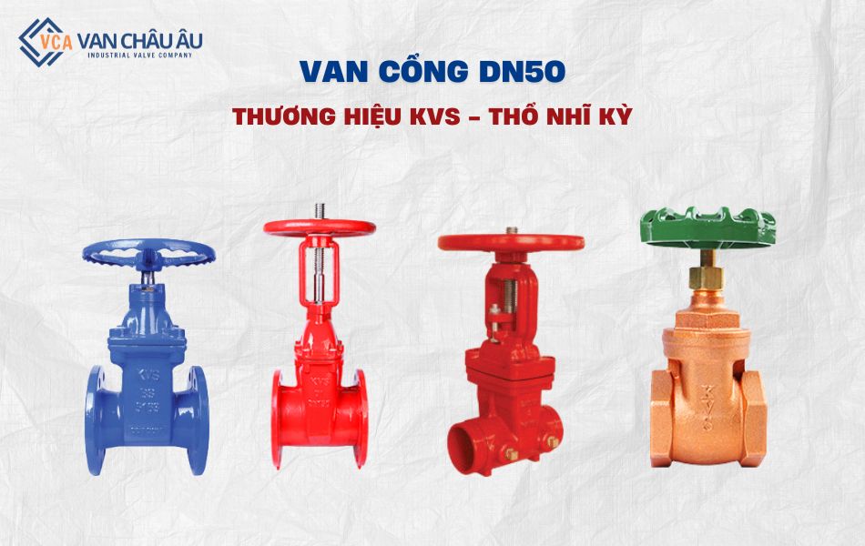 van cổng dn50 thương hiệu kvs