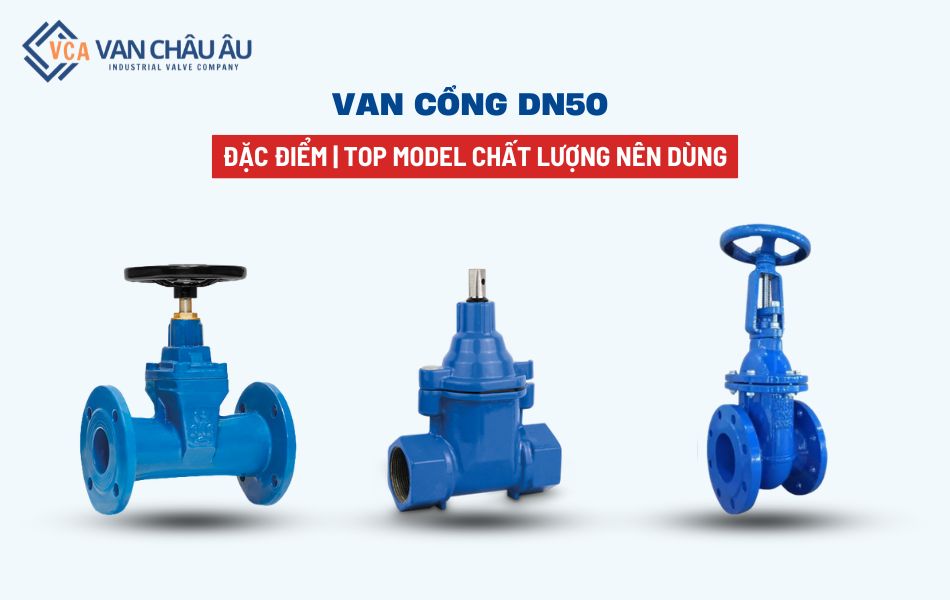 van cổng dn50