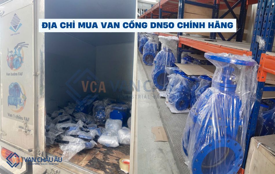 vanchauau phân phối van cổng dn50 chính hãng