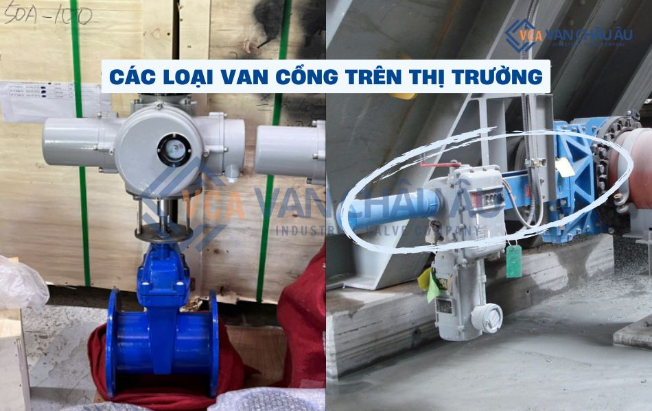 các loại van cổng