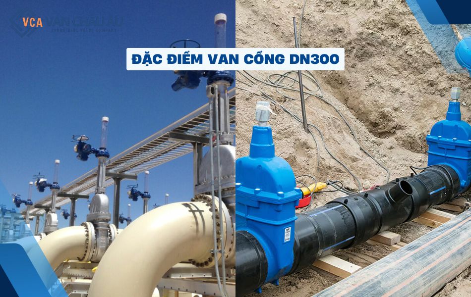 đặc điểm van cổng dn300