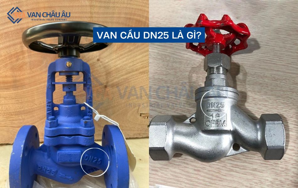 giới thiệu van cầu dn25
