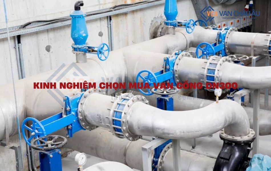 kinh nghiệm mua van cổng dn300