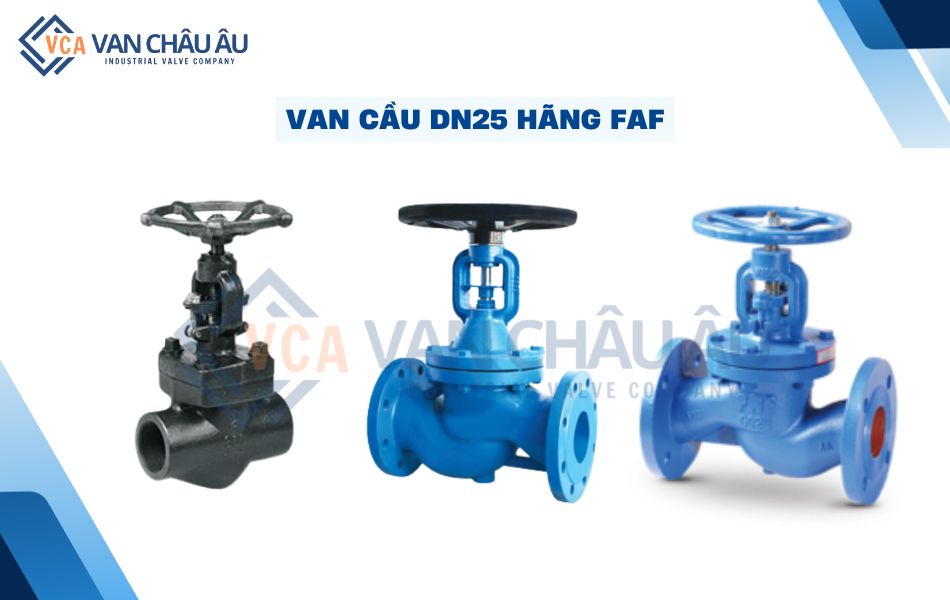 van cầu dn25 hãng faf