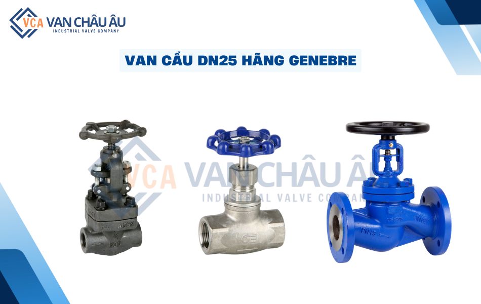 van cầu dn25 hãng genebre