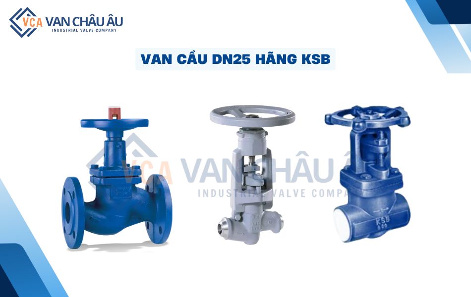 van cầu dn25 hãng ksb