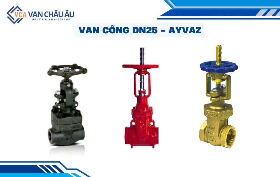 van cổng dn25 ayvaz