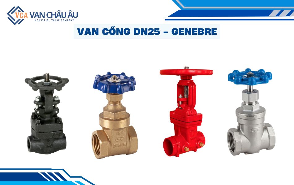 van cổng dn25 genebre