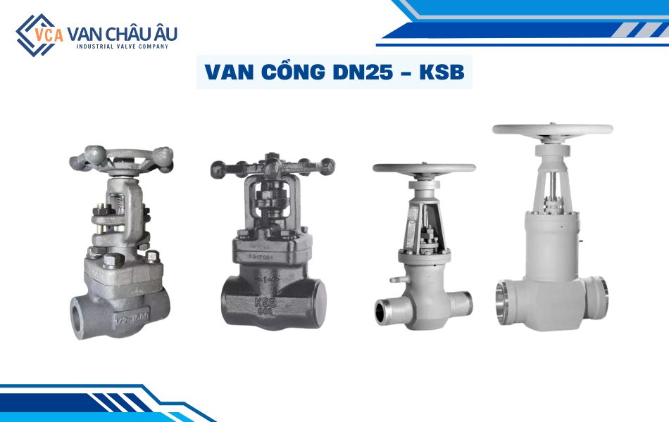 van cổng dn25 ksb