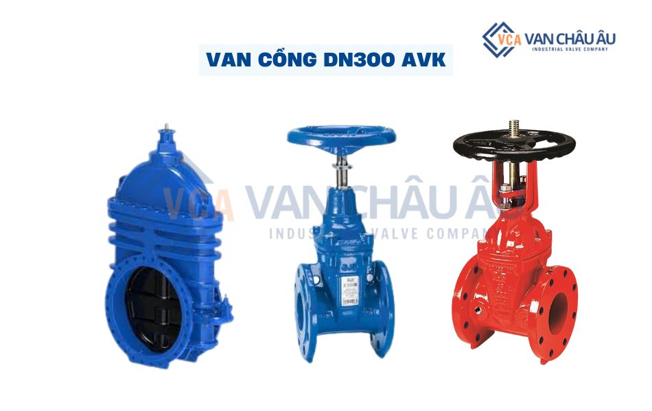 van cổng dn300 avk
