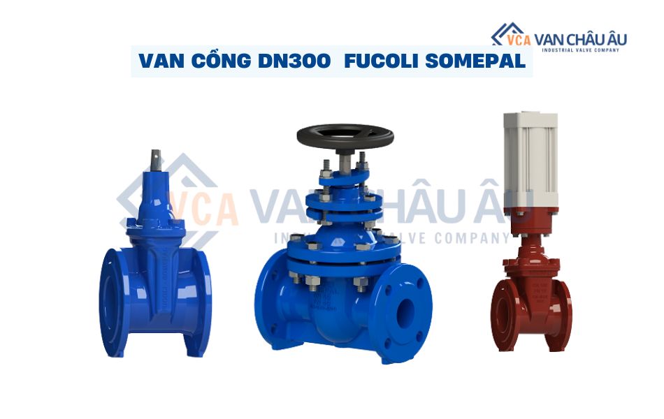 van cổng dn300 fucoli somepal