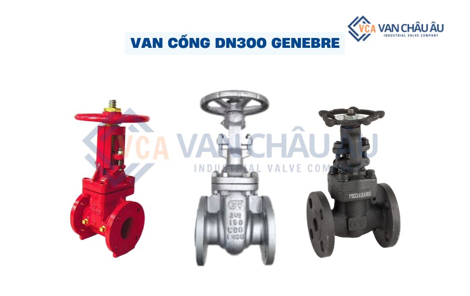 van cổng dn300 genebre