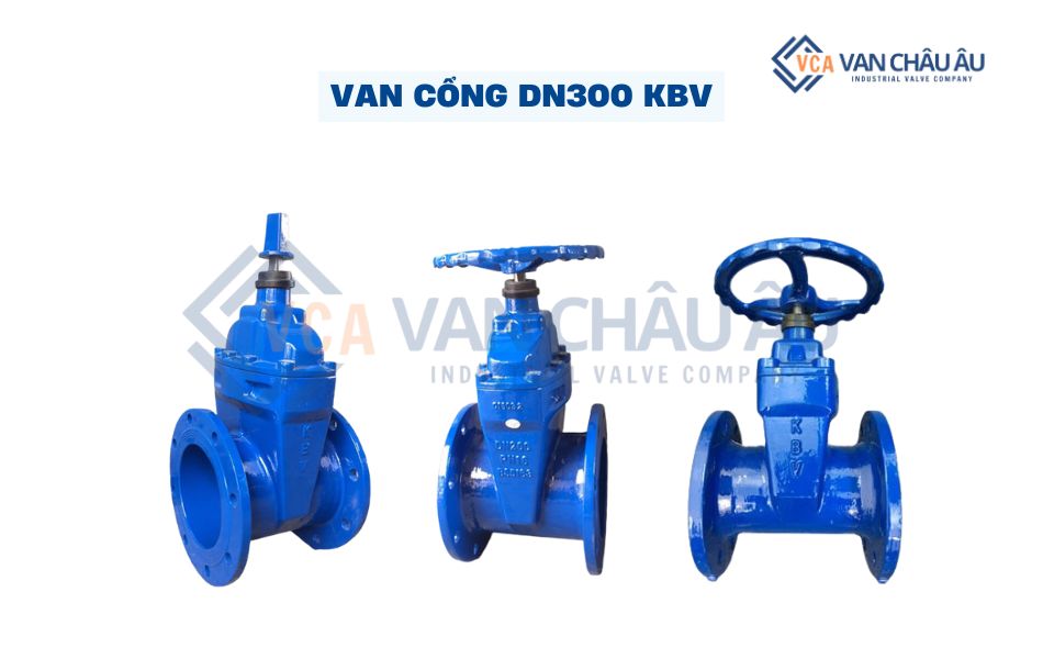 van cổng dn300 kbv