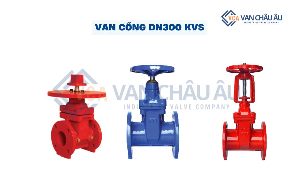van cổng dn300 kvs
