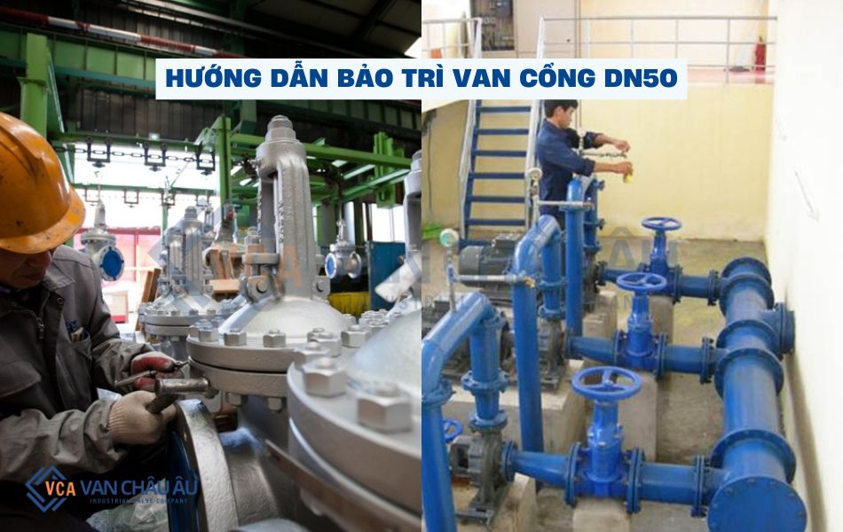hướng dẫn bảo trì van cổng dn50