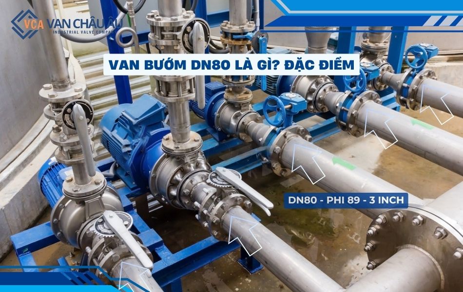 van bướm dn80 là gì và đặc điểm